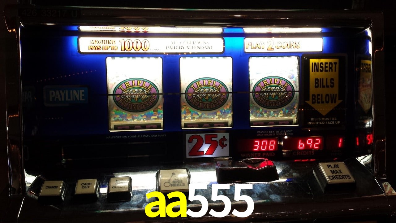 VIP Casino aa555